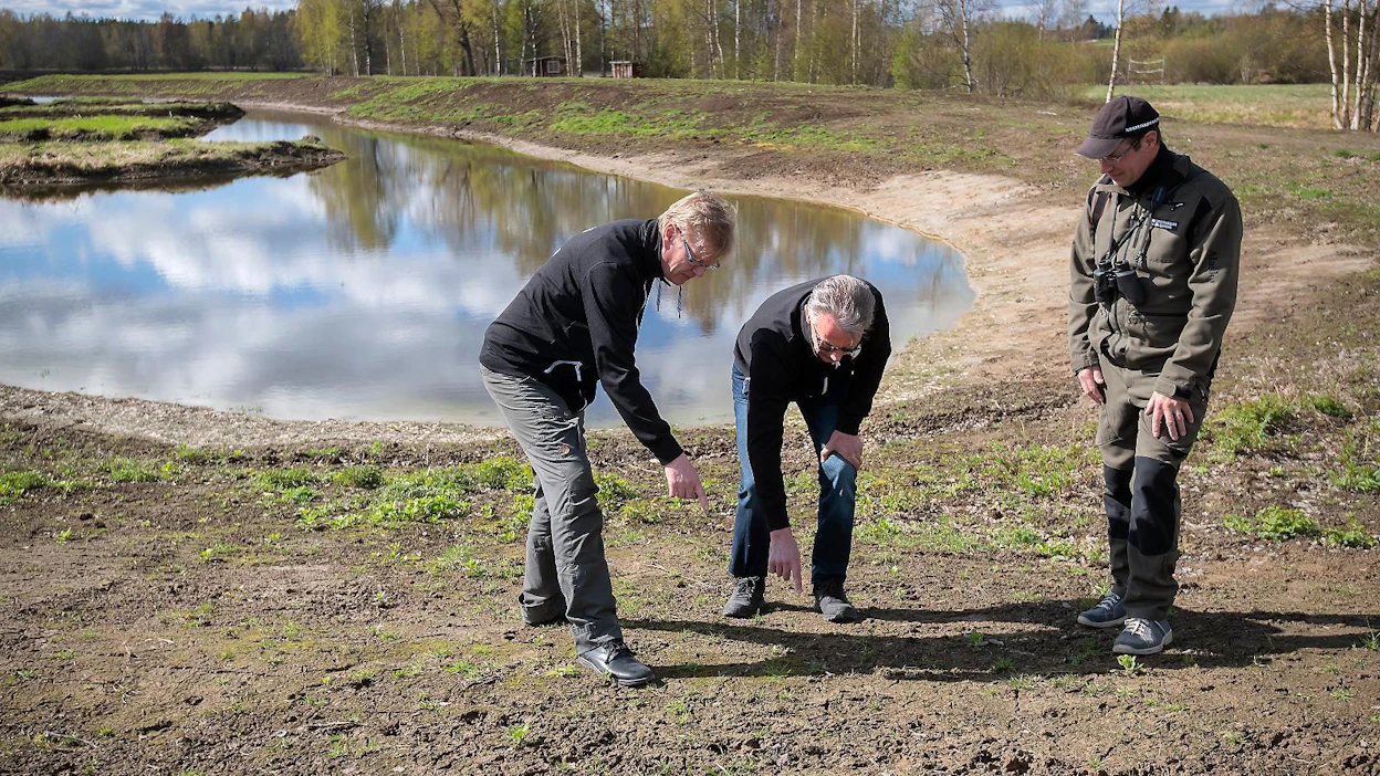 Pahajoen kosteikko on rakennettu järven eteläpäähän hidastamaan ravinteiden kulkeutumista ojista järveen. Alavuden kaupungin ympäristöpäällikkö Jukka Kotola, projektipäällikkö Timo Rintala ja suunnittelubiologi Juha Siekkinen löysivät kosteikon rannasta metsäkauriin jäljet.