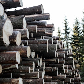 Otson puukauppavelkojen määrät yksityisille puunmyyjille ovat tyypillisesti muutamia satoja tai muutamia tuhansia euroja.