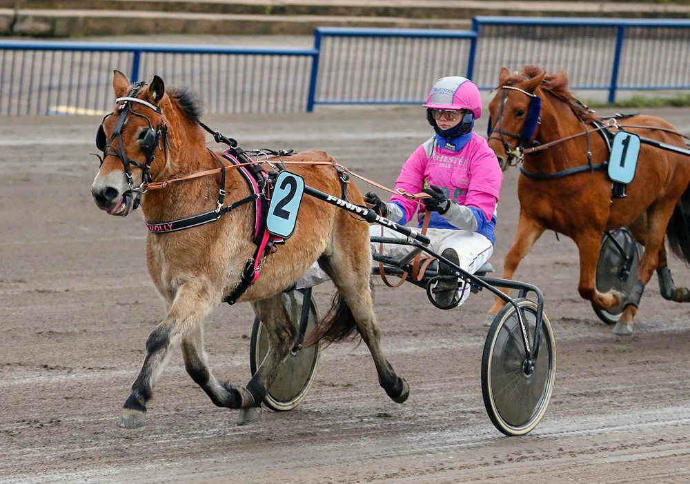 Oona Halmeen Odd Molly on Julia Kiukkaan veikkaus Poniruhtinattaren-tittelin voittajaksi.