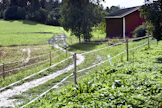 Peltomaa nähdään sekä viljelijöiden että viljelystä luopuneiden pellonomistajien näkökulmasta asuinympäristön oleellisena osana eikä useinkaan ainoastaan liiketaloudellisena tuotantoresurssina.