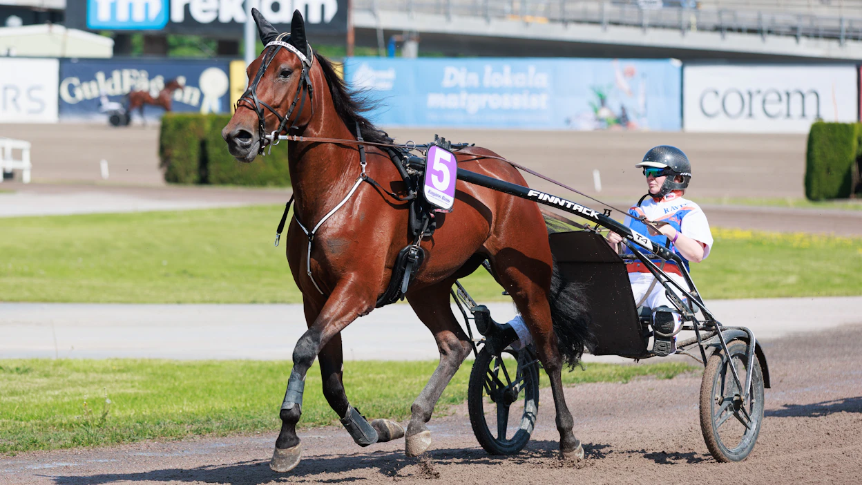 Irina Sarinilla on Hippoksen rekisterissä kuusi valmennettavaa. Amazing Player on niistä menestynein.