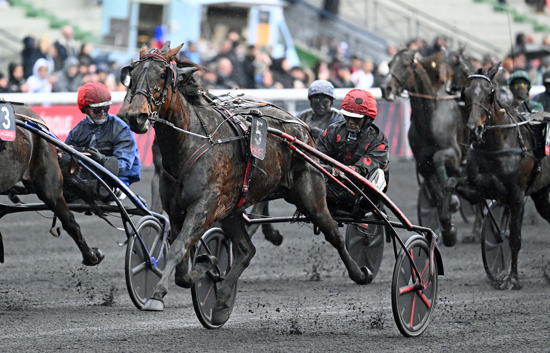 Delia du Pommereux rattaillan Pierre Yves Verva vastasi dramaattisen uudenvuodenpäivän Prix de Bourgognen loppusuoralla Flamme du Goutierille /Theo Duvaldestin.