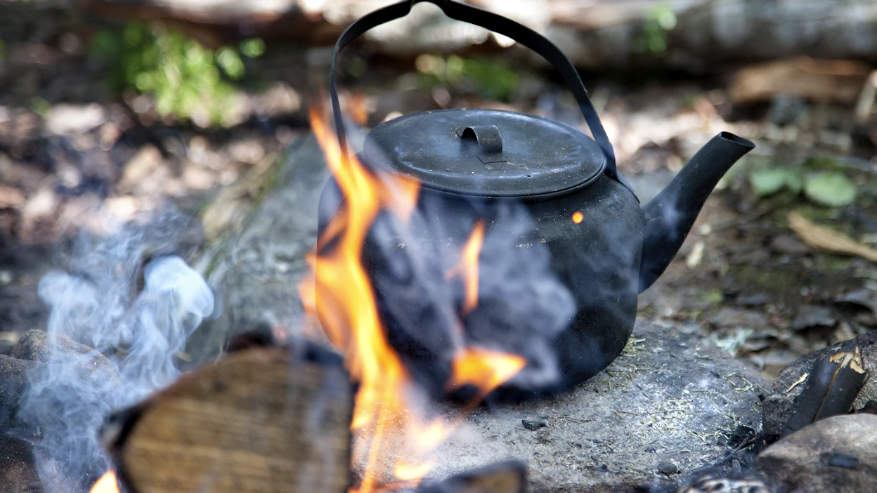 Metsänomistajalla on aikaa ajatella nuotiolla esimerkiksi, lisääkö nuotio monimuotoisuutta houkuttelemalla metsäpalolajistoa paikalle.