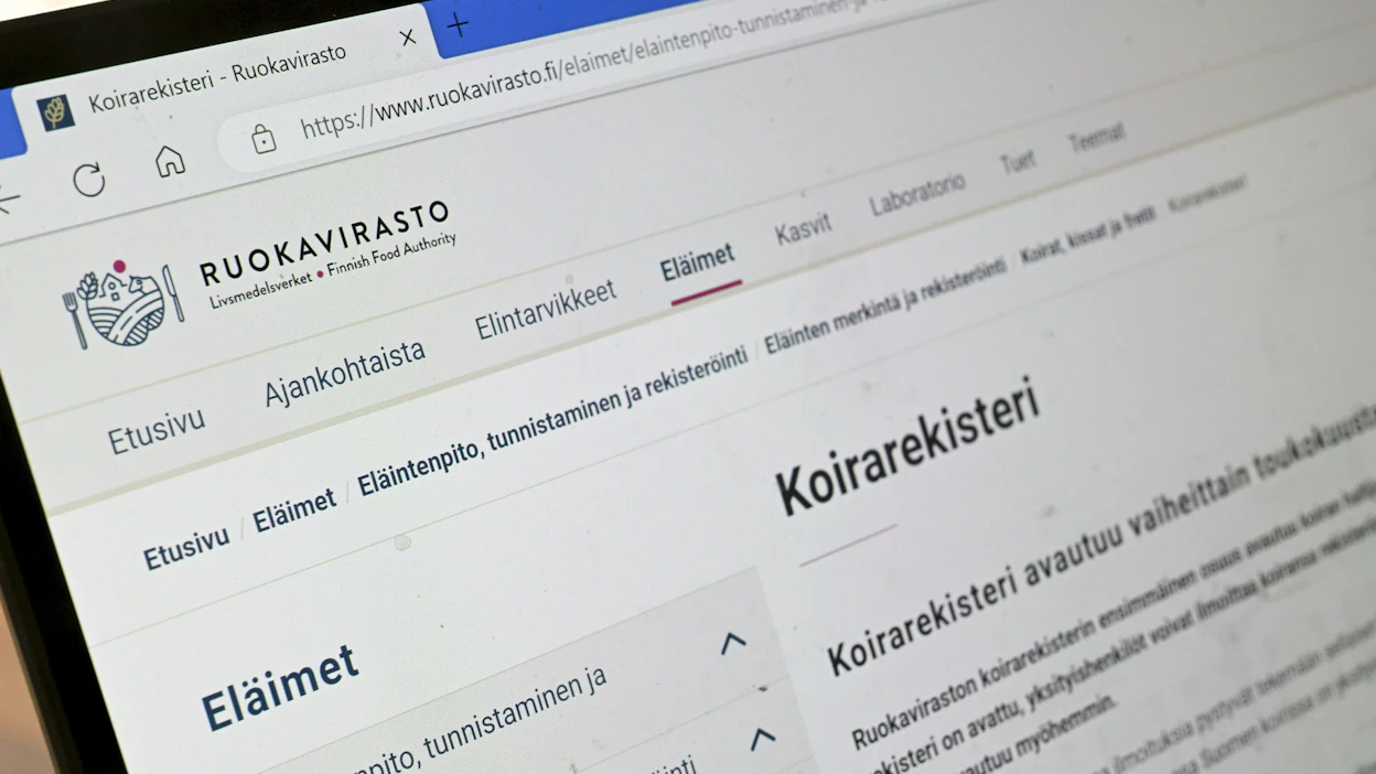 Ruokaviraston mukaan uuteen koirarekisteriin on ilmoitettu ensimmäisten päivien aikana jo yli 14 000 koiraa. LEHTIKUVA / Heikki Saukkomaa.
