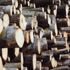 Ruotsin ja EU-alueen metsäteollisuus ja alan osaaminen voi jo nyt auttaa Ukrainan jälleenrakentamisessa.