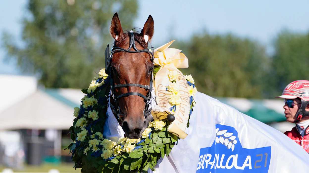 MAS Champin ura on jo nyt komea. 55 startista se on voittanut 33. Tienestejä on kertynyt noin 324 000 euroa.