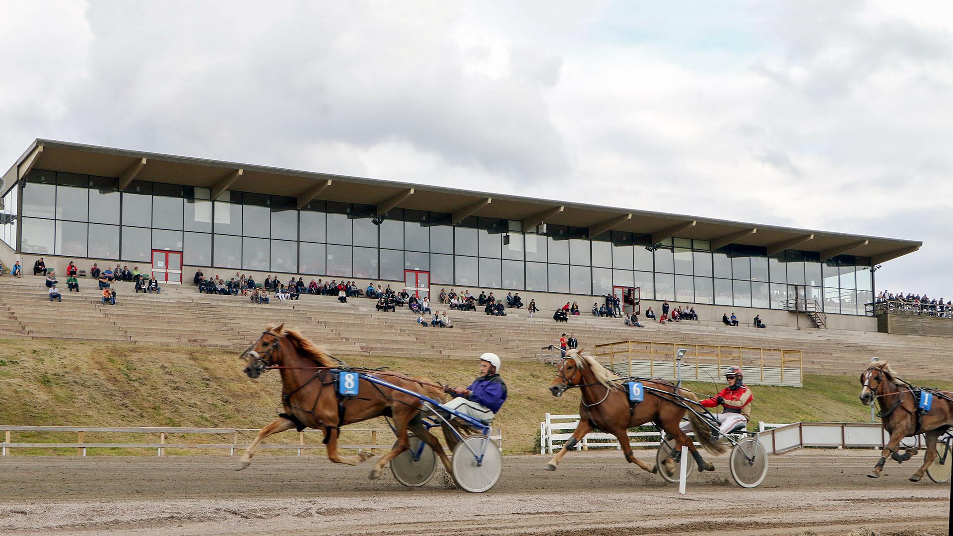 Mäntyvaaran kavioura lepää maanantain kovien pakkaslukemien takia.
