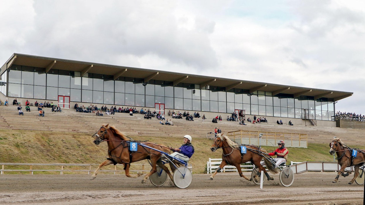 Mäntyvaaran kavioura lepää maanantain kovien pakkaslukemien takia.