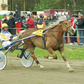 Liising juoksi urallaan 79 starttia ja 22 voittoa. Kuvassa se voittaa Kausalassa vuonna 2002.