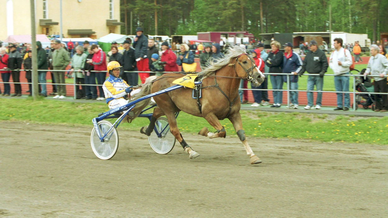 Liising juoksi urallaan 79 starttia ja 22 voittoa. Kuvassa se voittaa Kausalassa vuonna 2002.