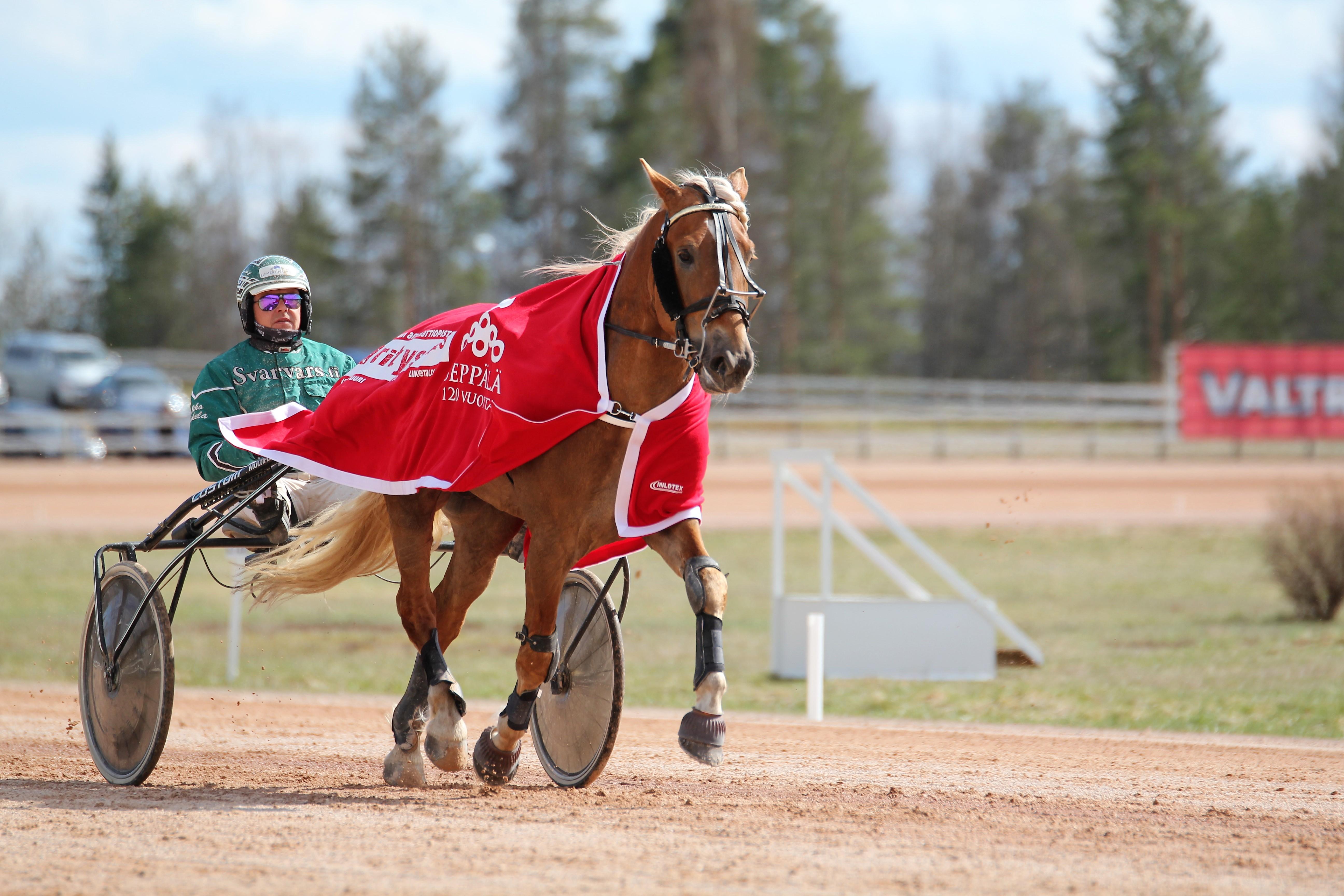 Fiiling on sijoittunut yli puolessa uransa 74 startissa kolmen joukkoon.
