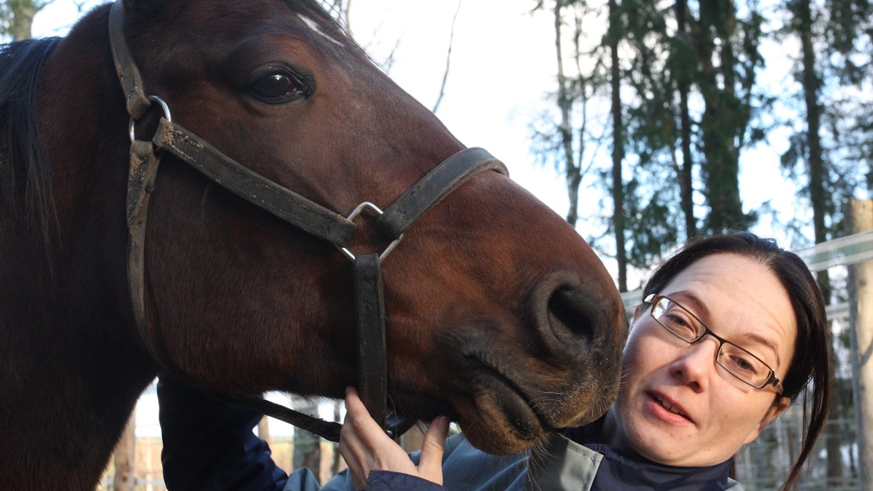 Anne Takapuro tarjoaa hevosenomistajilleen mahdollisuuden osallistua omistamansa hevosensa arkeen ja kilpailutilanteisiin.