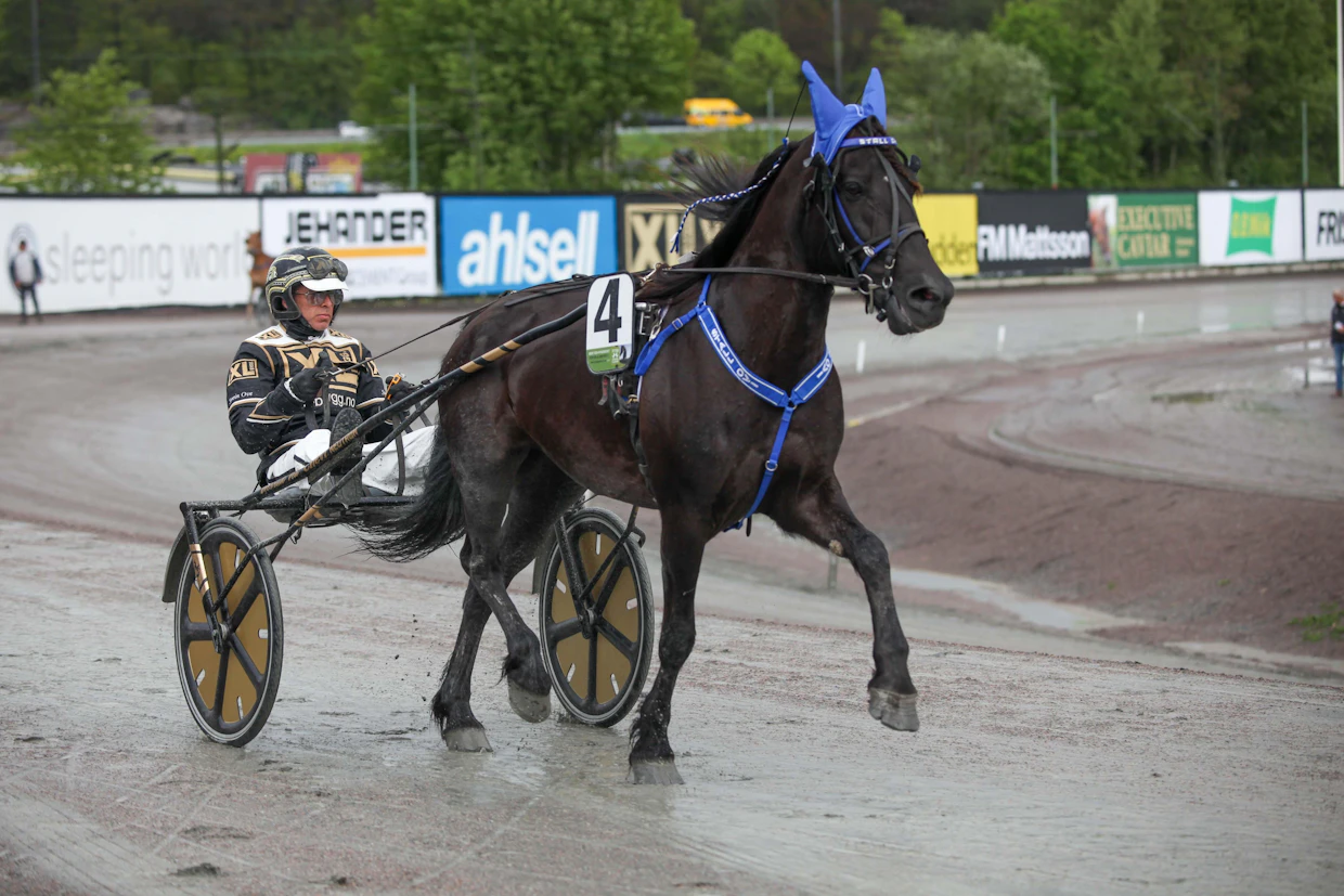 Svein Ove Wassberg on ohjastanut urallaan yli 2000 voittoa. Kuvassa norjalaisohjastaja Ulsrud Tean kanssa vuoden 2019 Elitkampen-lähdössä.