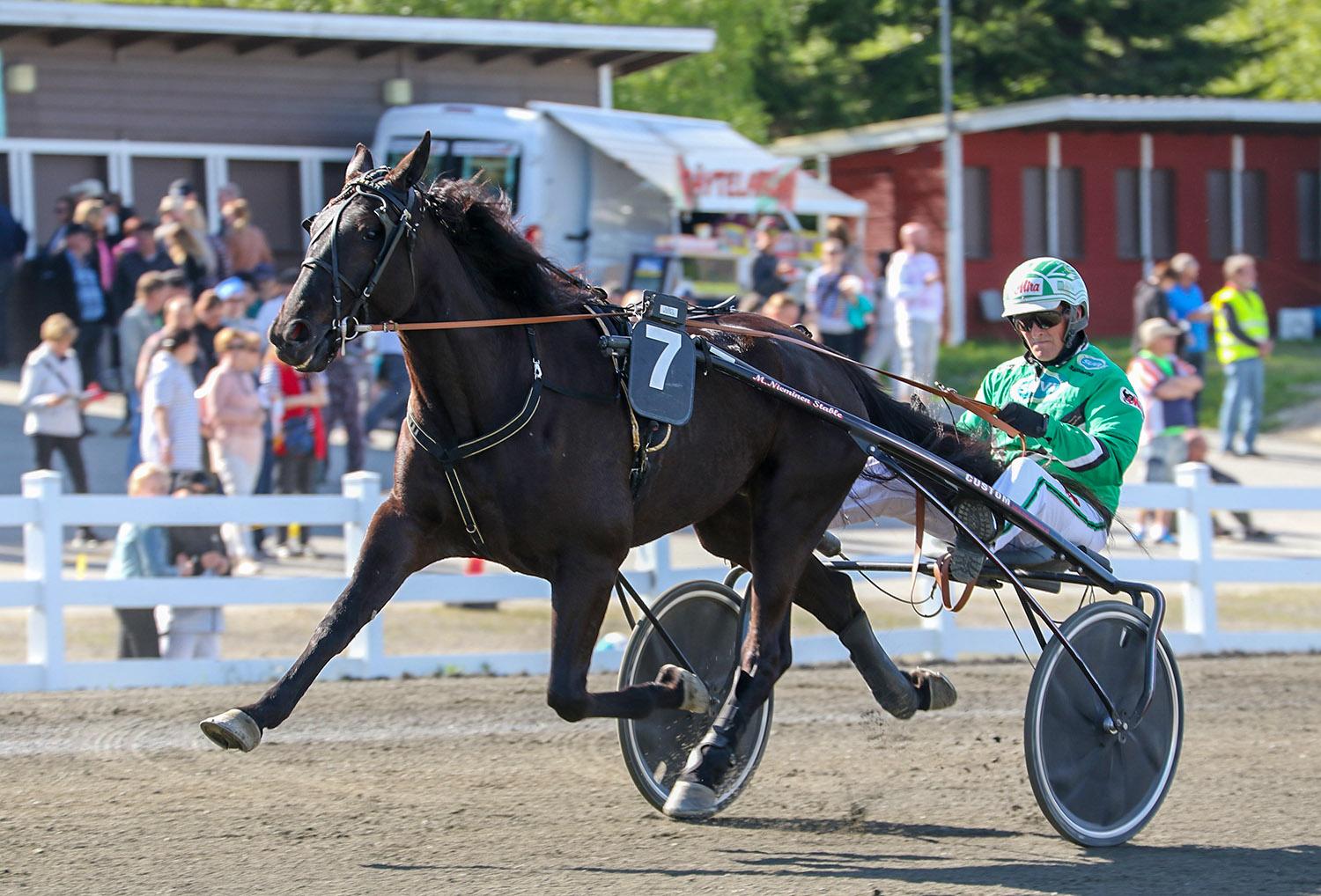 Etenkin hurjalla vauhdillaan hurmanneen Lexus Dreamin kilpailu-ura on ohi. Ari Moilanen ajoi valtaosan hevosen starteista.