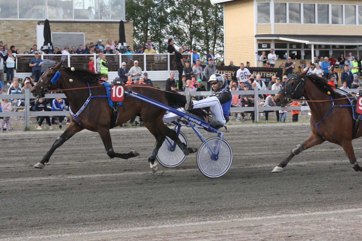 Panu Ahonen ajaa vuosittain noin 200-300 ravilähtöä. Arkistokuvassa hän voittaa M.T. Kopitarilla Ylivieskassa.