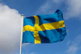 Ruotsissa metsäpolitiikan pitäminen omissa käsissä nähdään tärkeäksi.