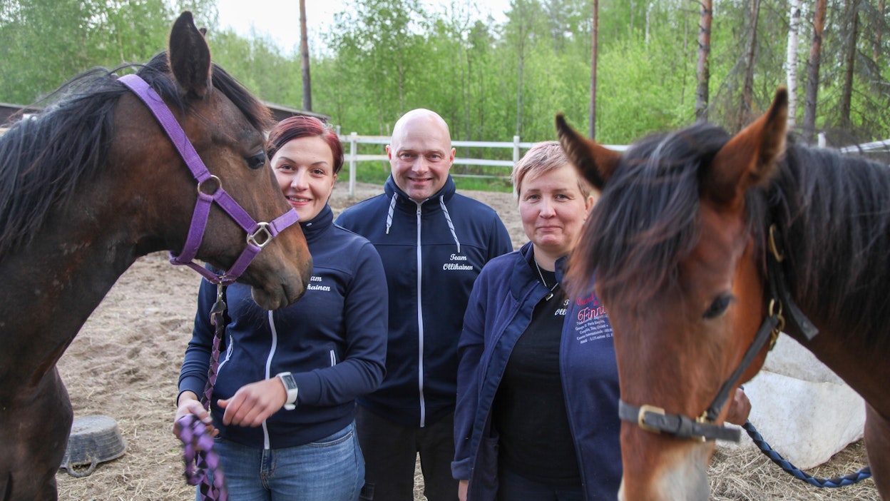 Emmi (vas.) ja Janne Lukkari sekä Maarit Ollikainen ovat kokeneita hevoskimppojen kokoajia.