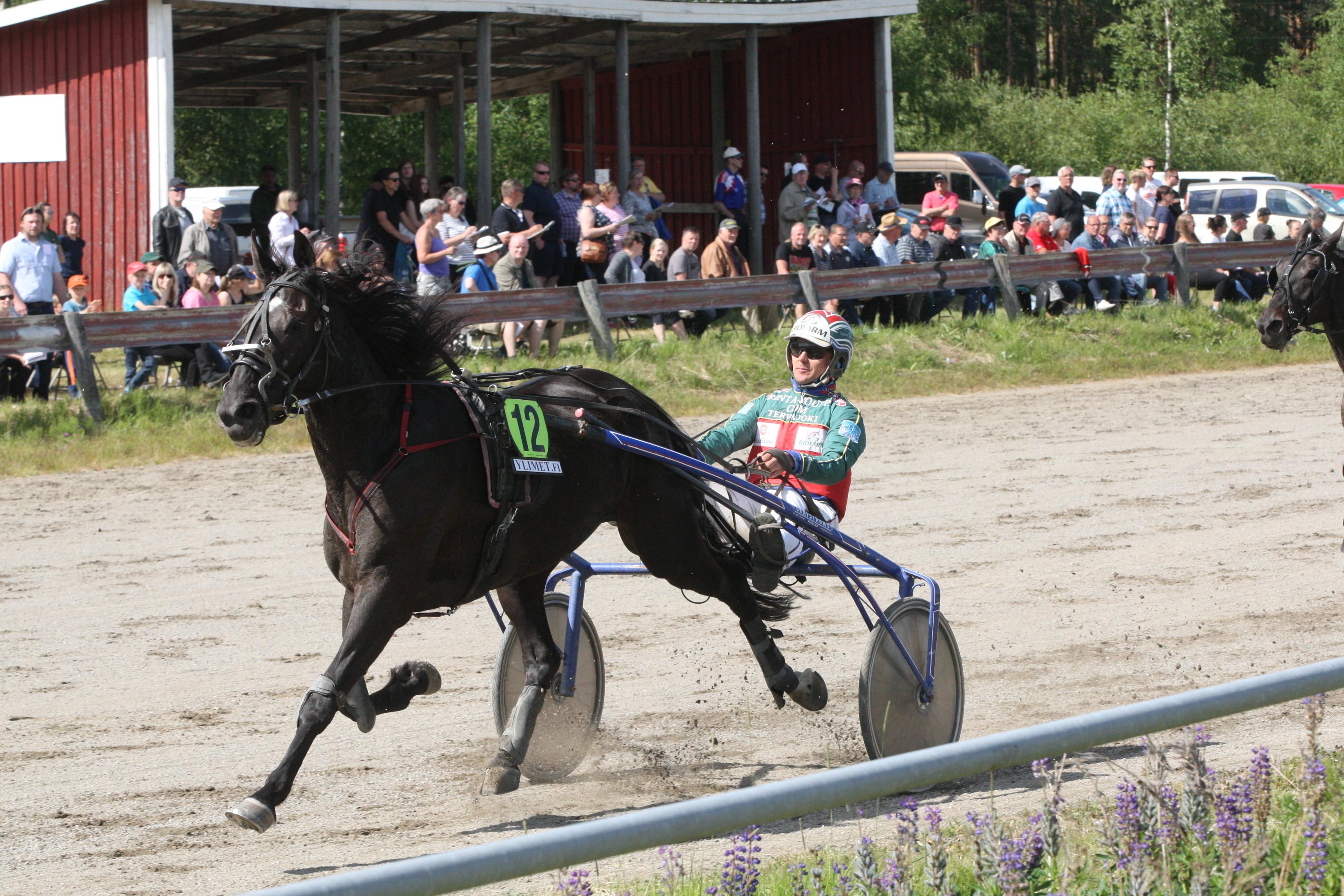 Martti Mäki menestyi hyvin Night Guardin vanhemmalla veljellä Quite Specialilla. Kuvassa Hannu Hietanen ohjastaa silloin neljävuotiaan Quite Specialin voittoon Kauhavan juhannusraveissa kesällä 2018.