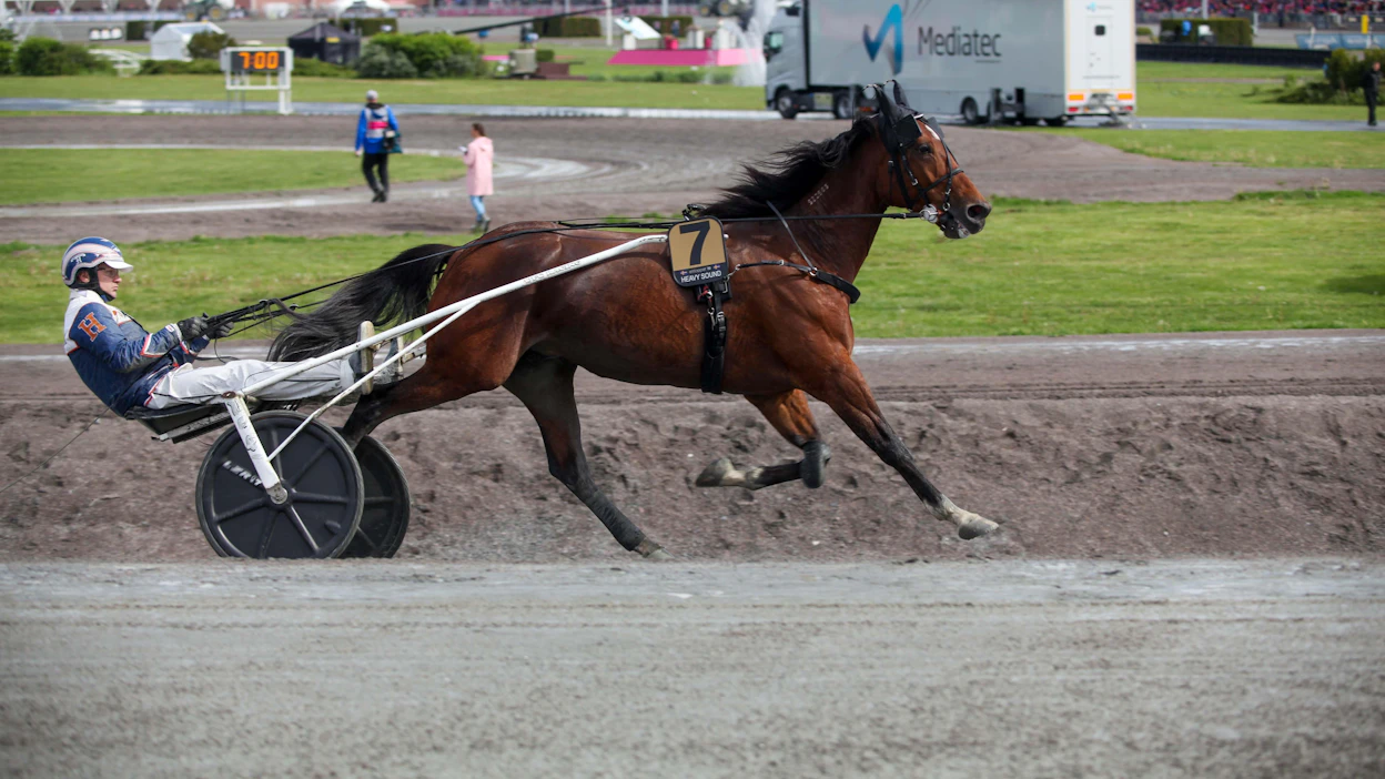 Kenneth Haugstad jatkoi SRF Stablen omistaman Heavy Soundin ohjastajana ruunan vaihdettua Daniel Redénin valmennukseen. Kaksikko osallistui muun muassa kaksi kertaa Elitloppetiin.