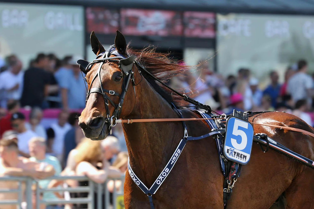 Bret Boko oli mukana vuoden 2015 Elitloppetissa.