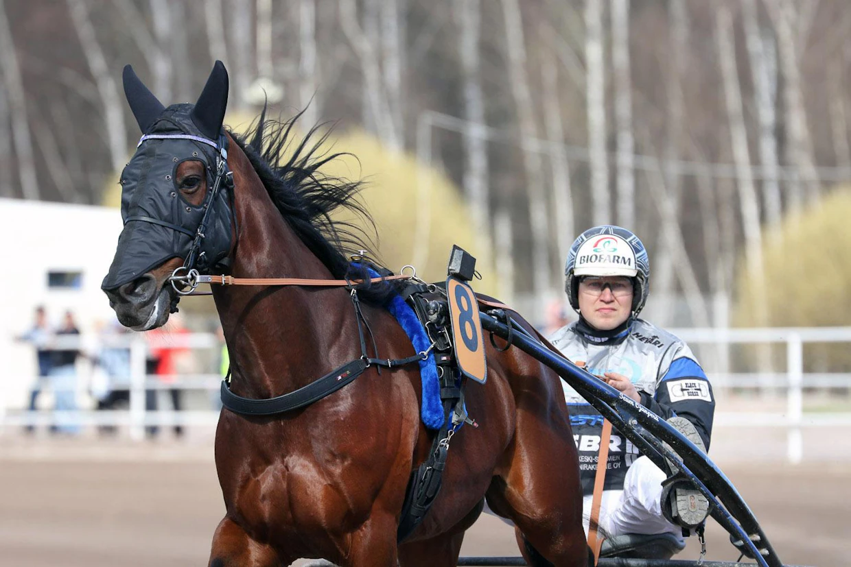 Regent Zet valmistautumassa vuoden 2018 Finlandia-ajoon Vermossa.