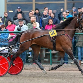 J.H.Mannerheim esiintyi Peter Ingveksen ohjastamana Seinäjoki Racessa 2018.
