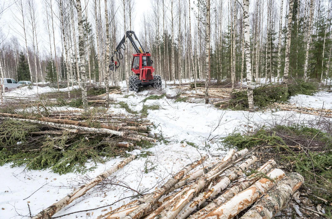 Viime vuonna metsistämme hakattiin Luken tilastojen mukaan tukkipuuta 25,8 ja kuitupuuta 36,9 miljoonaa kuutiometriä.