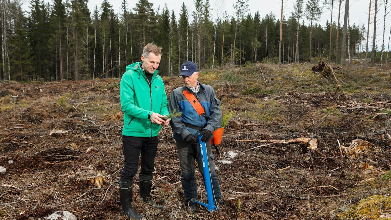 Arto Pasu (vas.) istutti viime viikon maanantaina kuusentaimia Paimiossa. Mukana työmaalla oli metsänhoitoyhdistys Lounametsän metsäasiantuntija Tapani Holmijoki.