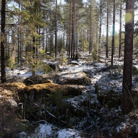 Lunta tuli keskiviikkona muun muassa Äänekoskella Keski-Suomessa. Päivällä aurinko paistoi taas.