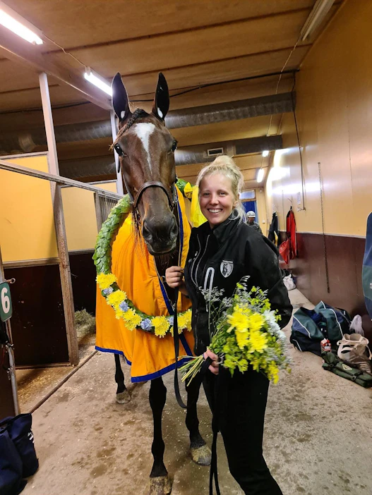 Yksi Tessa Länsimäen hoitohevosista on 3,3 miljoonan kruunun voittosumman juossut Hevin Boko.