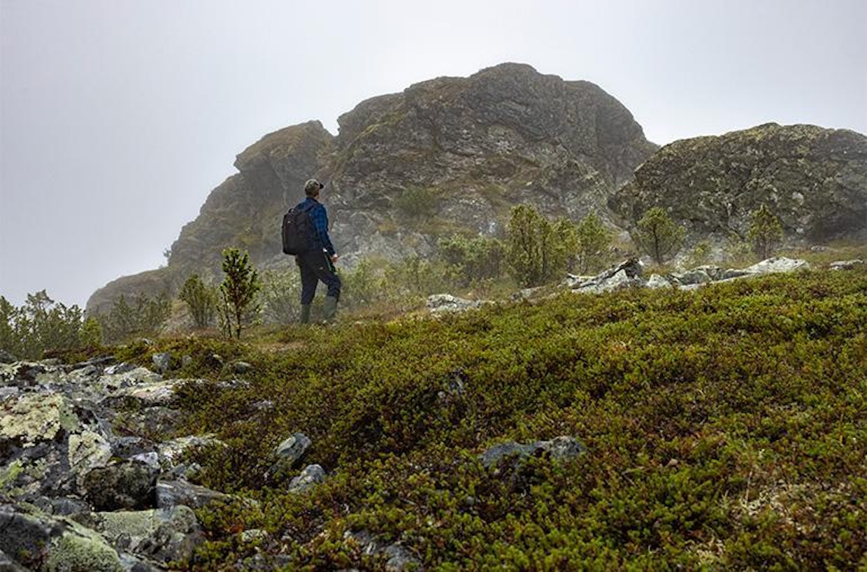 Takat ovat kalkkivaikutteisista kiviaineksista muodostuneita kalliokohoumia Takkaselkätunturin päällä. Isoin niistä on noin 10 metrin korkuinen.