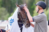 Antero Tupamäki on Atupemille kaikki kaikessa. Hän on orin kasvattaja, omistaja ja valmentaja. Yhdeksänvuotiaaksi varttunut Seinäjoki Race-sankari Atupem palaa maanantaina - jos olosuhteet ovat kelvolliset - radoille yli kahden vuoden hiljaiselon jälkeen.