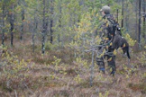 Metsästyslupa-arpajaisten järjestäminen ei olisi aivan yksinkertaista Metsähallituksen mukaan.