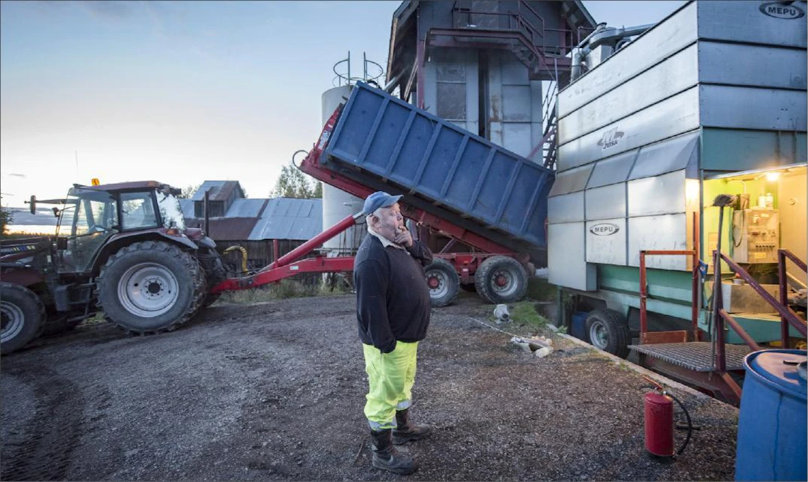 Nurmijärveläinen Tuomo Linden kuivasi tiistaina viimeisiä kevätvehnäeriä. Ensi viikolla on vuorossa ohran puinti. Kimmo Haimi