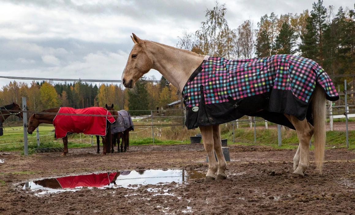 Vaikka kotona olisi vain omia hevosia, on huhtikuusta voimaan tulleiden määräysten mukaan siis pitänyt rekisteröityä hevosten pitopaikaksi. Ammattitallit ovat olleet ilmoitusvelvollisia jo aiemmin, joten niiden tiedot siirtyivät uuteen rekisteriin suoraan.