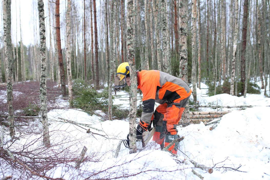 Veteraanimetsuri Jaakko Pessinen testasi alkuvuodesta 2018 Aarteelle Husqvarnan ja Stihlin 50-kuutioisia ammattisahoja.