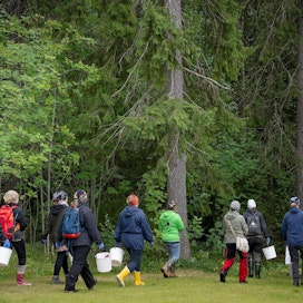 Yksi Marjakaverit-ryhmiä perustaneista on kajaanilainen luonnontuotealan yrittäjä Heli Pirinen (keskellä vihreässä takissa).