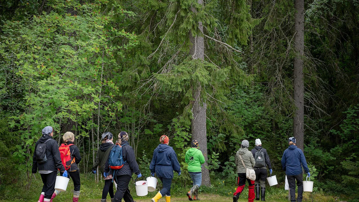 Yksi Marjakaverit-ryhmiä perustaneista on kajaanilainen luonnontuotealan yrittäjä Heli Pirinen (keskellä vihreässä takissa).