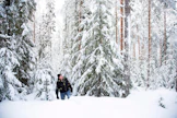Yrjö Sikiö harjoittaa maa- ja metsätaloutta Kaakkois-Suomessa. S-Pankin nuiva suhtautuminen lainahakemukseen yllätti hänet.