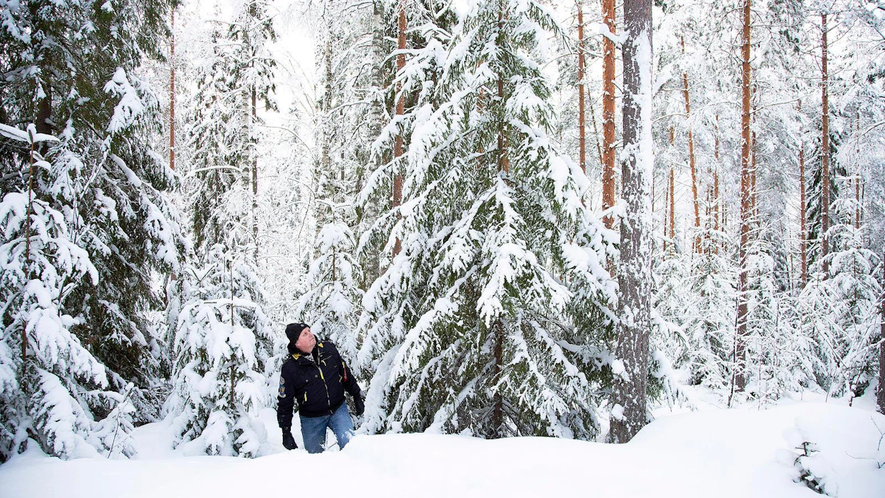 Yrjö Sikiö harjoittaa maa- ja metsätaloutta Kaakkois-Suomessa. S-Pankin nuiva suhtautuminen lainahakemukseen yllätti hänet.