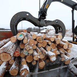 Sahat maksavat metsänomistajien kantorahatuloista kaksi kolmasosaa, sanoo Suomen Sahat ry:n toimitusjohtaja Kai Merivuori.