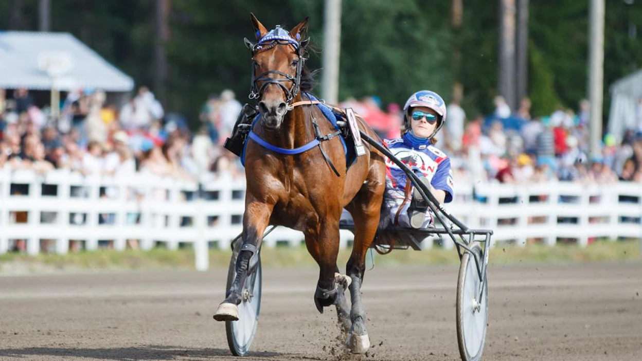 Cameron Evo karauttaa Olli Koivusen ohjastamana Joensuu-ajoon haastajan roolissa.