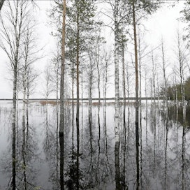 Pudasjärvi on nimetty yhdeksi Suomen 21 tulvavaara-alueesta. Kollajan tekojärvi vähentäisi Iijoen tulvimista Pudasjärven länsiosissa. Pekka Fali