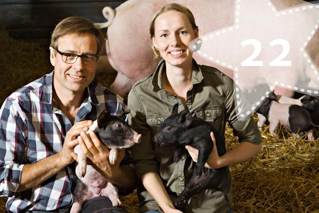 Jari ja Veera Ollikkala ottivat ensimmäisinä Suomessa käyttöön ryhmävapaaporsituksen.