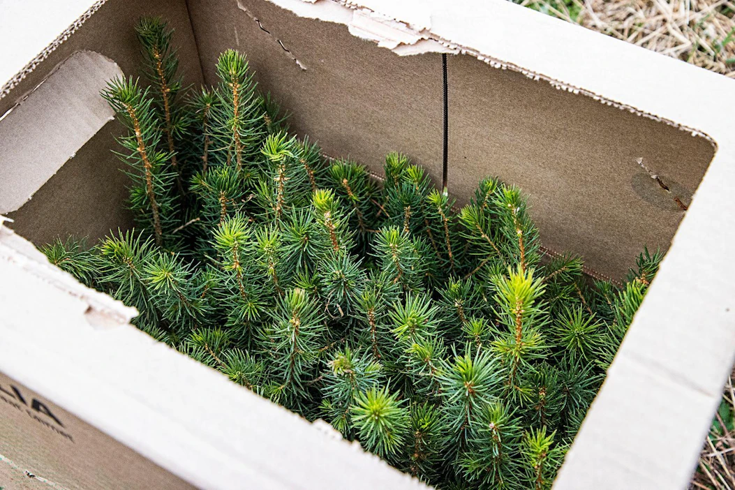 Komissio haluaa muun muassa ottaa valvontaansa yksityismetsänomistajien metsät. Esityksen mukaan yli 13 hehtaarin metsätiloille pitäisi valmistella ilmastohyötyanalyysi ja raportoida metsänkäyttötapoja seuraavan 30 vuoden ajan.