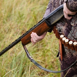 Ministeriö esittää, että punasotkan ja tukkakoskelon metsästys kiellettäisiin kolmen vuoden määräajaksi.