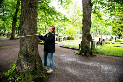 Hautausmaalta löytyy useita eri puulaleja ja osa puista on hyvinkin vanhoja. Lindbohm mittaamassa puun läpimittaa talmeterilla.