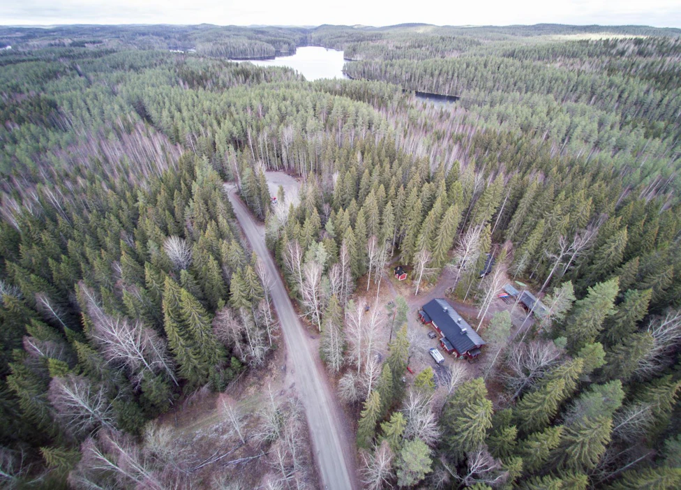 Uudessa kaavoitus- ja rakentamislaissa pyritään muun muassa hillitsemään rakentamisen ilmastohaittoja ja turvaamaan metsien monimuotoisuus sekä hiilensidonta ilmakehästä.