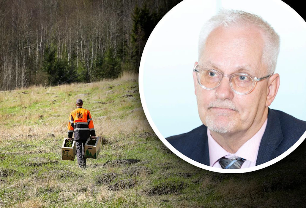 Sarvamaan mukaan valiokunnassa hyväksytty raportti painottaa kestävän metsänhoidon, metsien monikäytön ja biotalouden roolia.