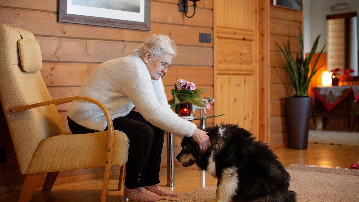 Mirkku-koira vietti paljon aikaa Riitta Sopasen kanssa tämän asuessa kotona. Koiran rooli etsinnöissä oli ratkaiseva, kun Sopanen viime huhtikuussa tippui metsässä kalliolta ja loukkasi itsensä.